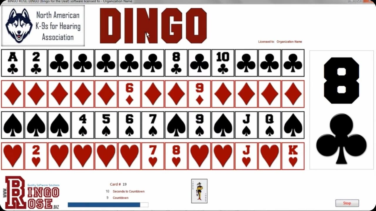 Ex. 2 - an older version of DINGO from Bingo Rose